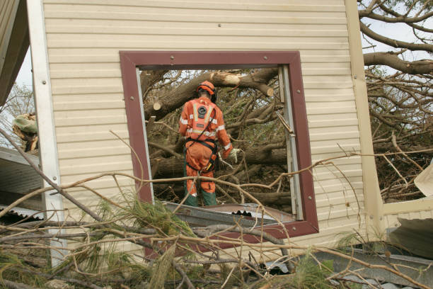 Best Storm Damage Tree Cleanup  in USA